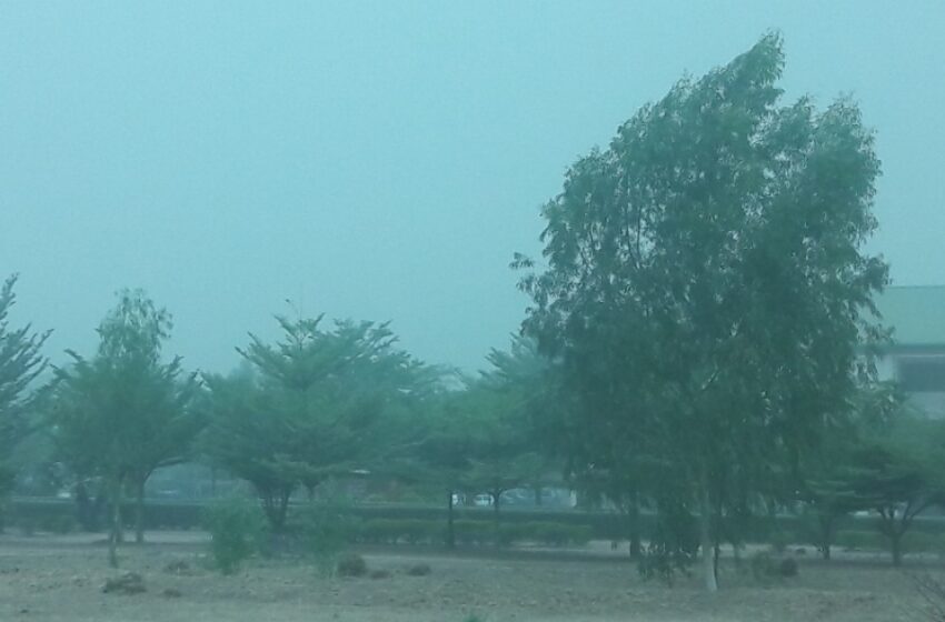  How to Prevent Dehydration During the Harmattan Season; Africa’s Tips.