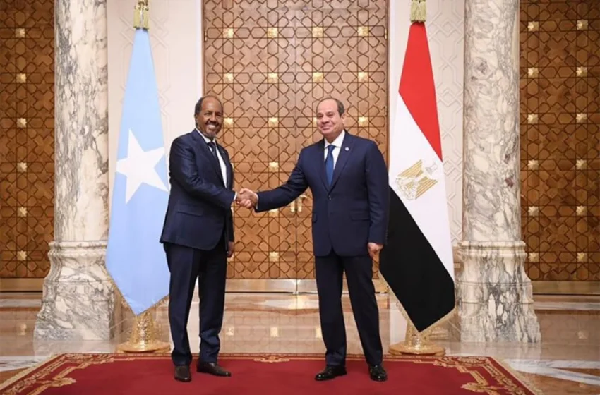  Egypt Supports Somalia’s Territorial Integrity at High-Level Cairo Talks